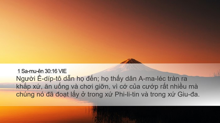1 Sa-mu-ên 30:16 VIE Bible Verse Image