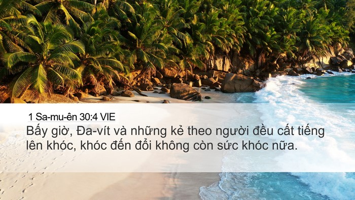 1 Sa-mu-ên 30:4 VIE Bible Verse Image