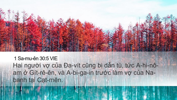 1 Sa-mu-ên 30:5 VIE Bible Verse Image