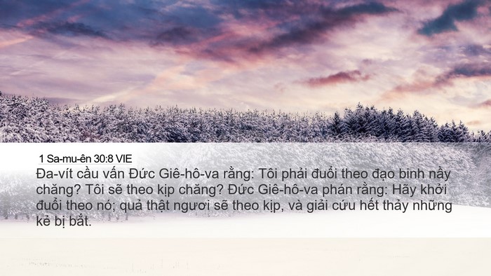 1 Sa-mu-ên 30:8 VIE Bible Verse Image