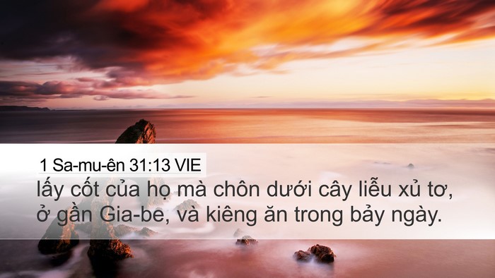 1 Sa-mu-ên 31:13 VIE Desktop Wallpaper - lấy cốt của họ mà chôn dưới cây - Desktop Bible Verse Wallpaper