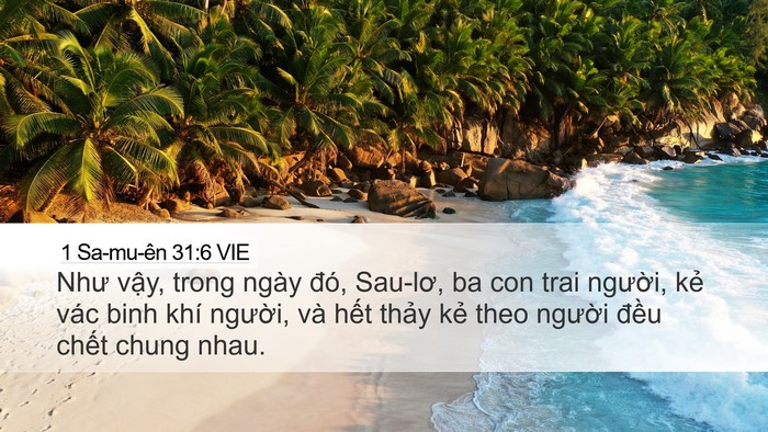 1 Sa-mu-ên 31:6 VIE Bible Verse Image