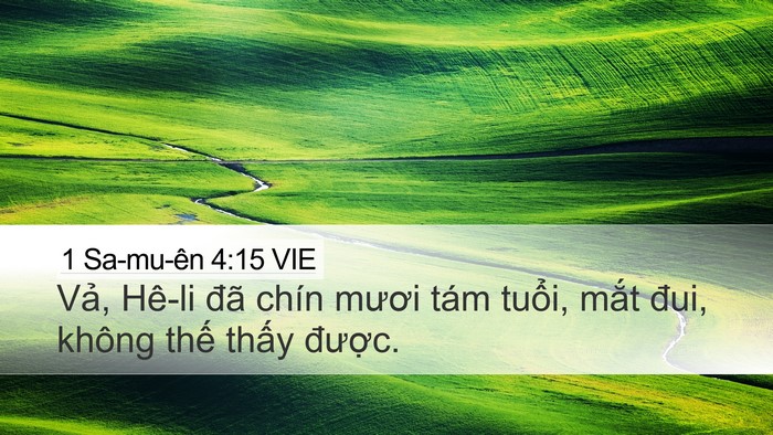 1 Sa-mu-ên 4:15 VIE Desktop Wallpaper - Vả, Hê-li đã chín mươi tám tuổi, mắt - Desktop Bible Verse Wallpaper