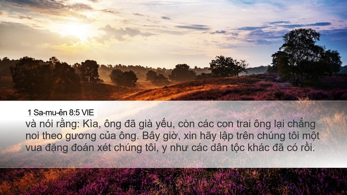1 Sa-mu-ên 8:5 VIE Bible Verse Image