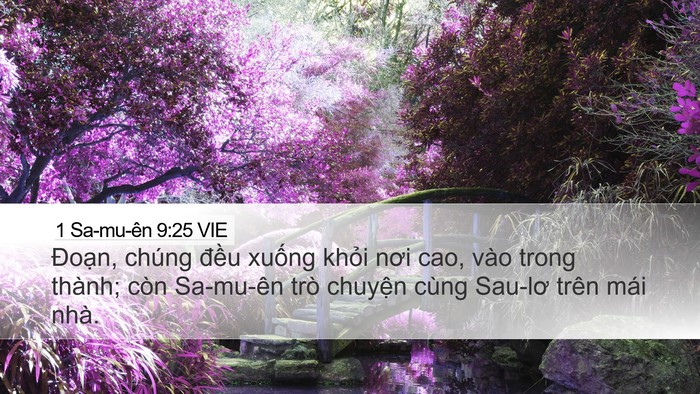 1 Sa-mu-ên 9:25 VIE Desktop Wallpaper - Đoạn, chúng đều xuống khỏi nơi cao, - Desktop Bible Verse Wallpaper