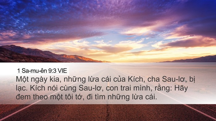 1 Sa-mu-ên 9:3 VIE Desktop Wallpaper - Một ngày kia, những lừa cái của Kích, - Desktop Bible Verse Wallpaper