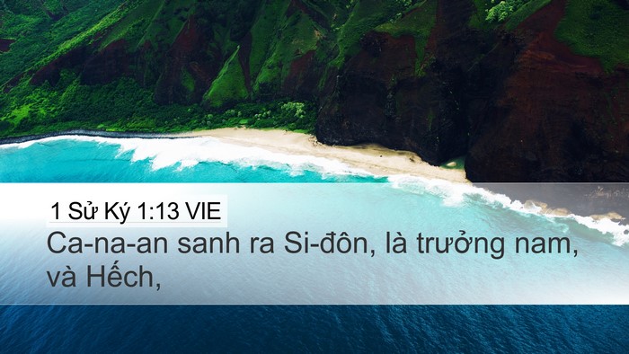 1 Sử Ký 1:13 VIE Desktop Wallpaper - Ca-na-an sanh ra Si-đôn, là trưởng nam, và - Desktop Bible Verse Wallpaper