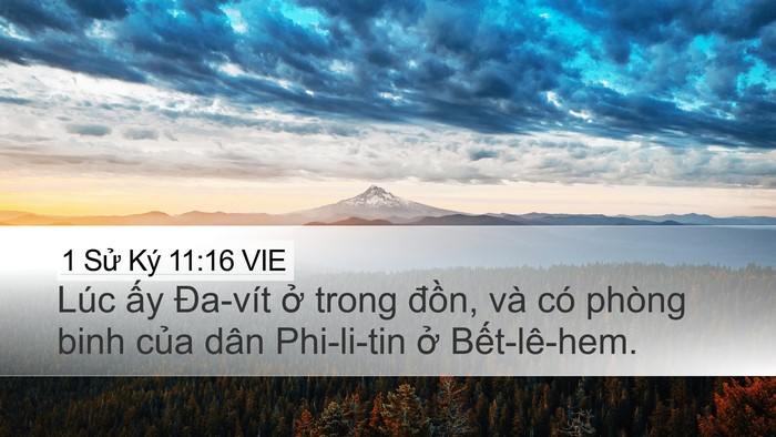 1 Sử Ký 11:16 VIE Bible Verse Image