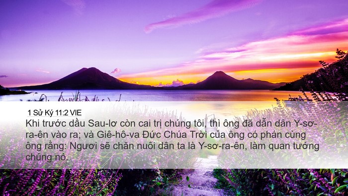 1 Sử Ký 11:2 VIE Bible Verse Image
