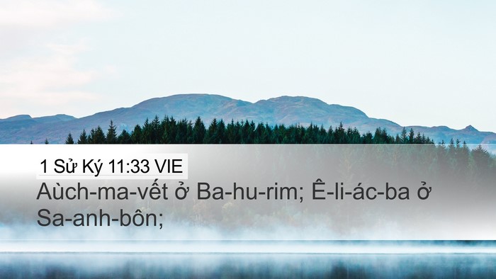 1 Sử Ký 11:33 VIE Bible Verse Image