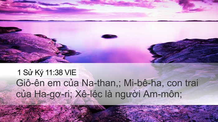 1 Sử Ký 11:38 VIE Bible Verse Image