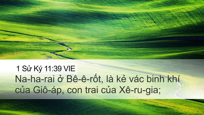1 Sử Ký 11:39 VIE Bible Verse Image