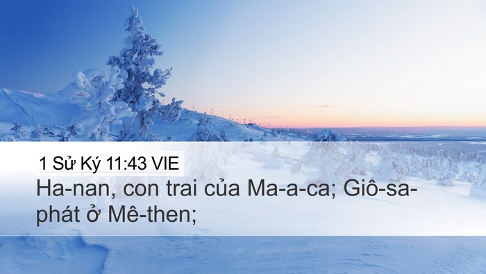 1 Sử Ký 11:43 VIE Desktop Wallpaper - Ha-nan, con trai của Ma-a-ca; Giô-sa-phát ở - Desktop Bible Verse Wallpaper