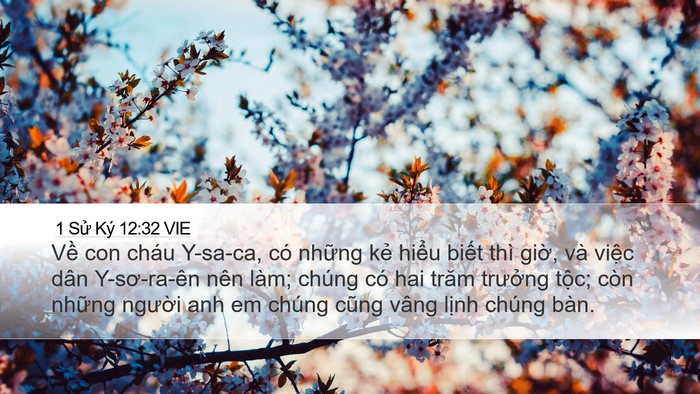 1 Sử Ký 12:32 VIE Bible Verse Image