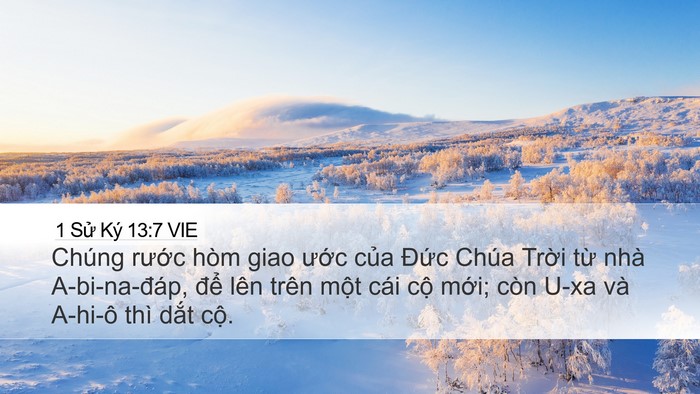1 Sử Ký 13:7 VIE Bible Verse Image