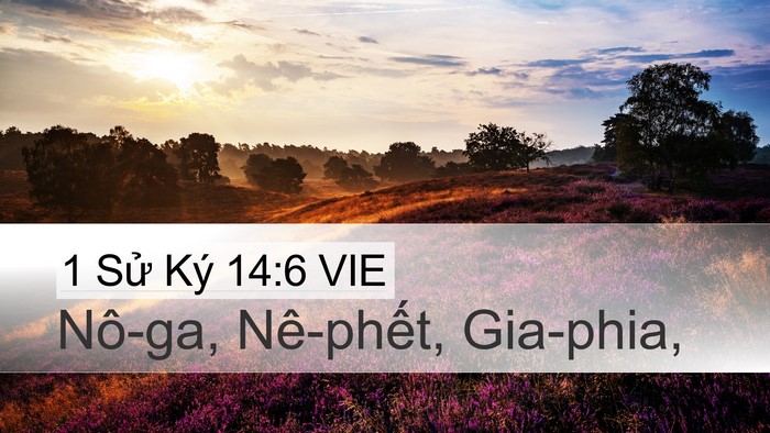 1 Sử Ký 14:6 VIE Desktop Wallpaper - Nô-ga, Nê-phết, - Desktop Bible Verse Wallpaper