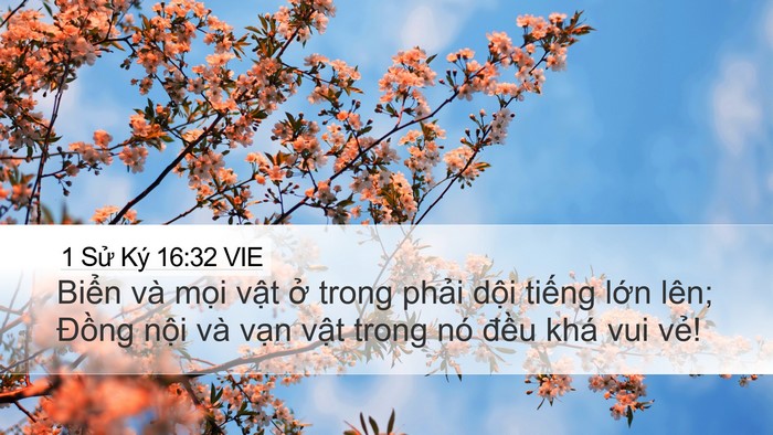 1 Sử Ký 16:32 VIE Bible Verse Image