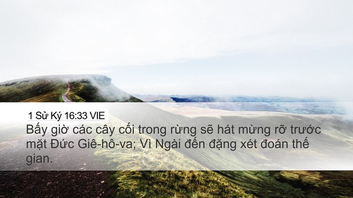 1 Sử Ký 16:33 VIE Desktop Wallpaper - Bấy giờ các cây cối trong rừng sẽ - Desktop Bible Verse Wallpaper