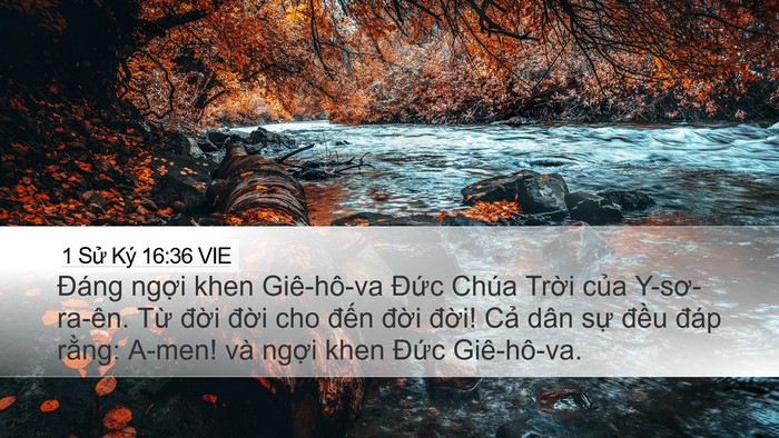 1 Sử Ký 16:36 VIE Bible Verse Image