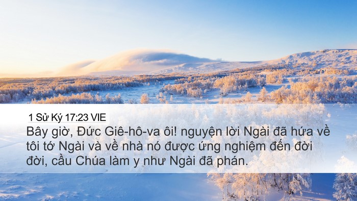 1 Sử Ký 17:23 VIE Bible Verse Image