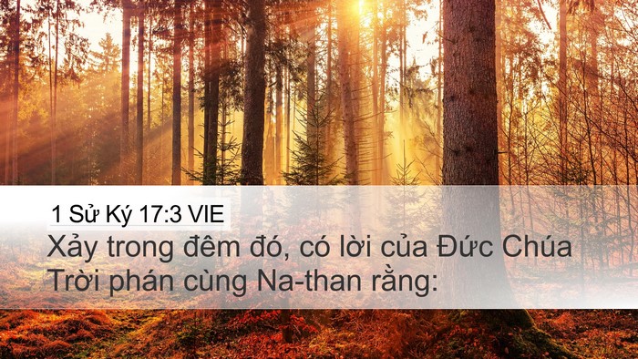 1 Sử Ký 17:3 VIE Bible Verse Image
