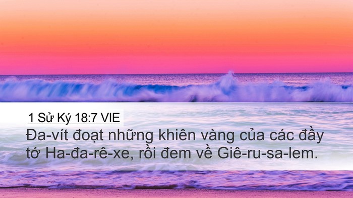 1 Sử Ký 18:7 VIE Bible Verse Image