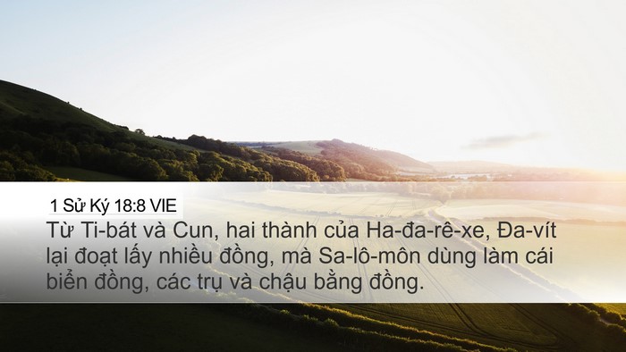 1 Sử Ký 18:8 VIE Bible Verse Image