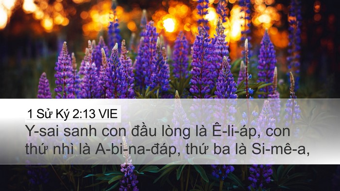 1 Sử Ký 2:13 VIE Bible Verse Image