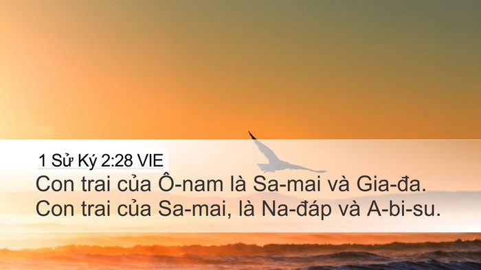 1 Sử Ký 2:28 VIE Desktop Wallpaper - Con trai của Ô-nam là Sa-mai và Gia-đa. Con - Desktop Bible Verse Wallpaper