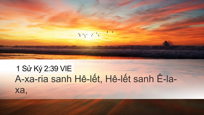 1 Sử Ký 2:39 VIE Desktop Wallpaper - A-xa-ria sanh Hê-lết, Hê-lết sanh - Desktop Bible Verse Wallpaper