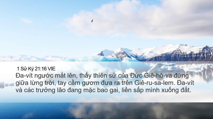 1 Sử Ký 21:16 VIE Bible Verse Image