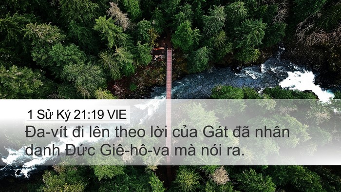 1 Sử Ký 21:19 VIE Bible Verse Image