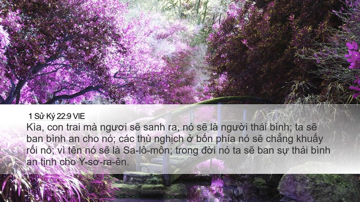 1 Sử Ký 22:9 VIE Bible Verse Image