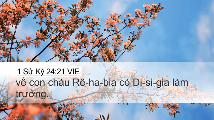 1 Sử Ký 24:21 VIE Desktop Wallpaper - về con cháu Rê-ha-bia có Di-si-gia làm - Desktop Bible Verse Wallpaper