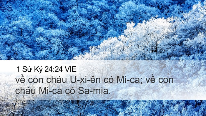 1 Sử Ký 24:24 VIE Bible Verse Image