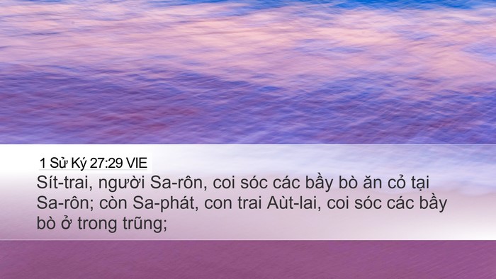 1 Sử Ký 27:29 VIE Bible Verse Image