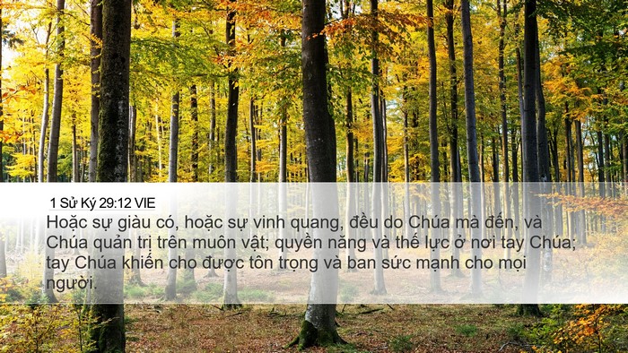 1 Sử Ký 29:12 VIE Bible Verse Image