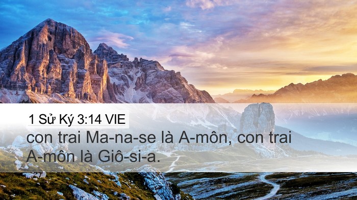 1 Sử Ký 3:14 VIE Desktop Wallpaper - con trai Ma-na-se là A-môn, con trai A-môn là - Desktop Bible Verse Wallpaper
