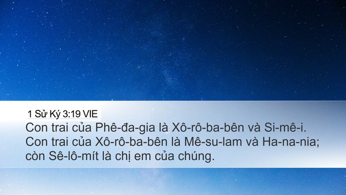 1 Sử Ký 3:19 VIE Bible Verse Image