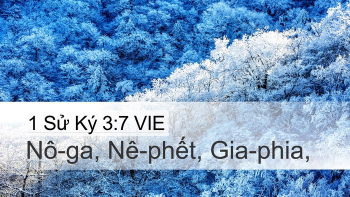 1 Sử Ký 3:7 VIE Desktop Wallpaper - Nô-ga, Nê-phết, - Desktop Bible Verse Wallpaper