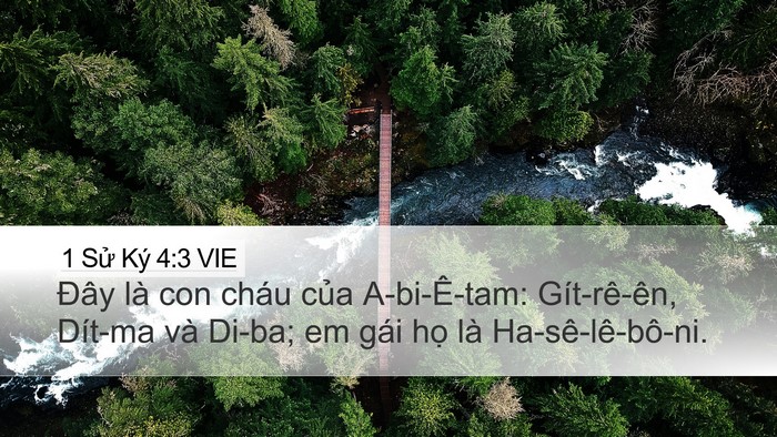 1 Sử Ký 4:3 VIE Desktop Wallpaper - Đây là con cháu của A-bi-Ê-tam: - Desktop Bible Verse Wallpaper