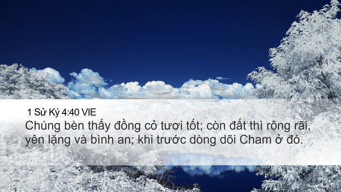 1 Sử Ký 4:40 VIE Desktop Wallpaper - Chúng bèn thấy đồng cỏ tươi tốt; - Desktop Bible Verse Wallpaper