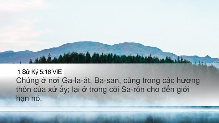 1 Sử Ký 5:16 VIE Desktop Wallpaper - Chúng ở nơi Ga-la-át, Ba-san, cùng trong - Desktop Bible Verse Wallpaper