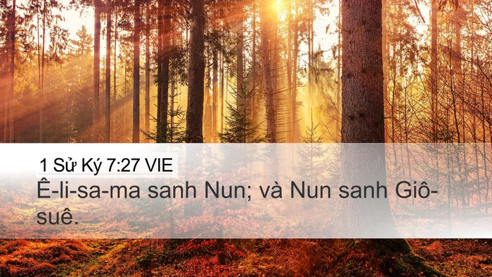 1 Sử Ký 7:27 VIE Desktop Wallpaper - Ê-li-sa-ma sanh Nun; và Nun sanh - Desktop Bible Verse Wallpaper