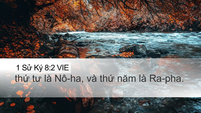 1 Sử Ký 8:2 VIE Desktop Wallpaper - thứ tư là Nô-ha, và thứ năm là - Desktop Bible Verse Wallpaper