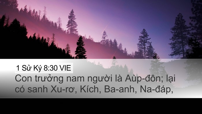 1 Sử Ký 8:30 VIE Bible Verse Image