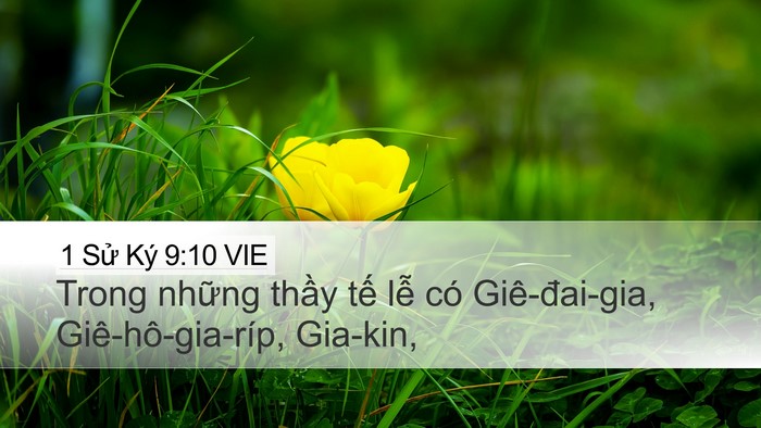 1 Sử Ký 9:10 VIE Bible Verse Image