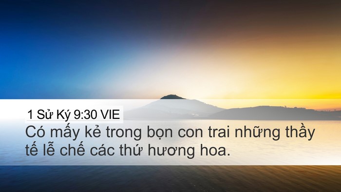 1 Sử Ký 9:30 VIE Desktop Wallpaper - Có mấy kẻ trong bọn con trai những - Desktop Bible Verse Wallpaper