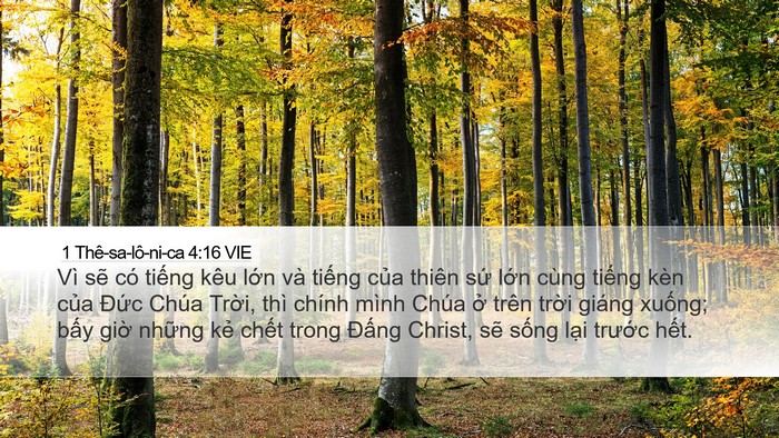 1 Thê-sa-lô-ni-ca 4:16 VIE Bible Verse Image