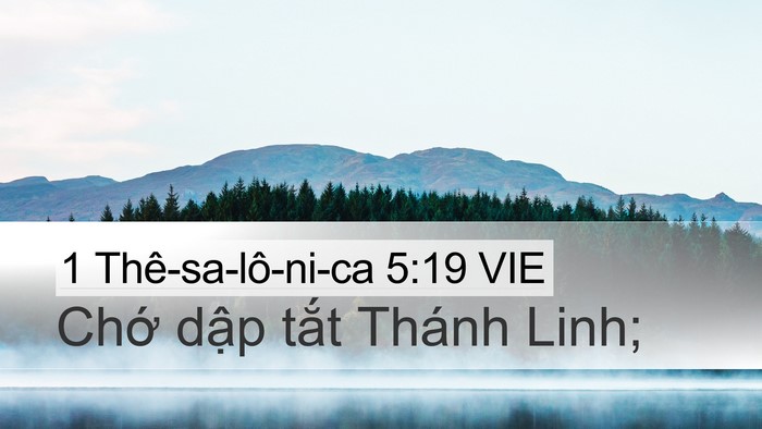 1 Thê-sa-lô-ni-ca 5:19 VIE Bible Verse Image